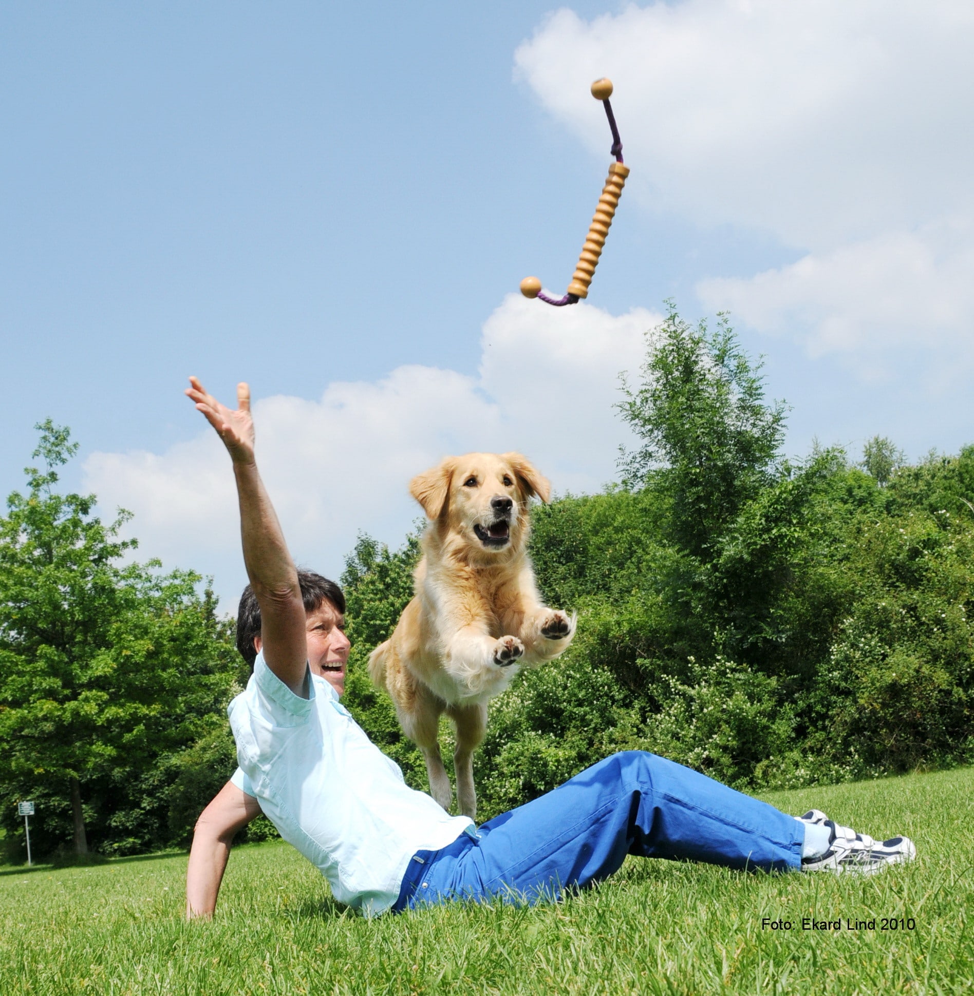 LIND-ART® Trainerin Annelie Lutterbach im Spiel mit einem ihrer Retriever