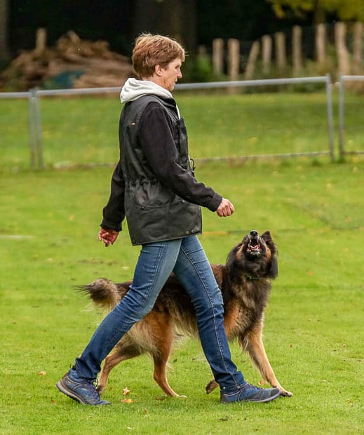 Teilnehmerin Hundeschule Aachener Wald auf dem Hundeplatz mit ihrem Hund
